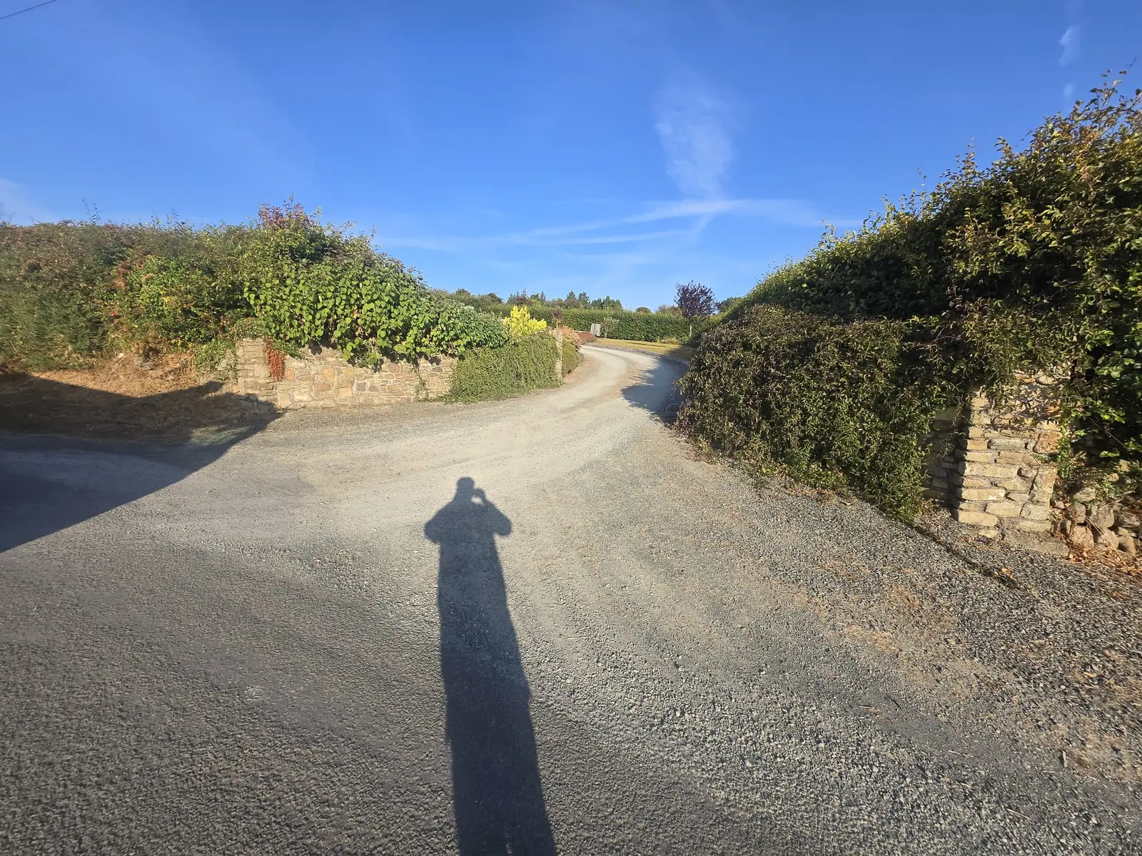 Large Tar & Chip Driveway project by Allsurface Groundworks in County Kilkenny